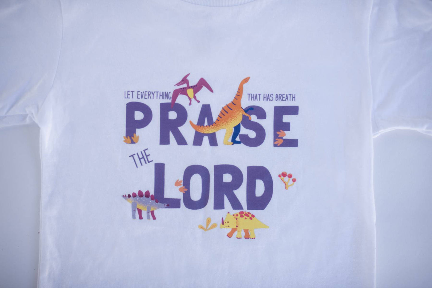 Dino Praise the Lord Boys Shirt